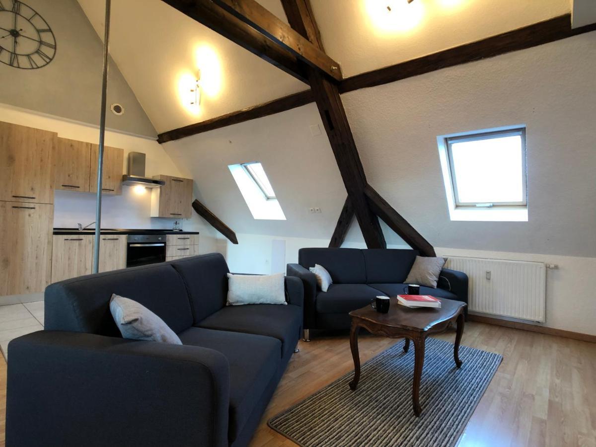 Apartment Le 6 - Le Chateau Du Haut-koenigsbourg Selestat