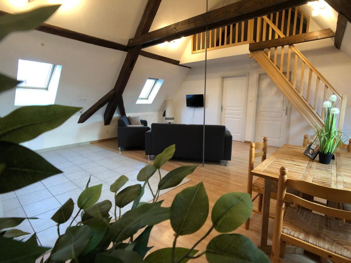 Le 6 - Le Chateau Du Haut-koenigsbourg Apartment Selestat