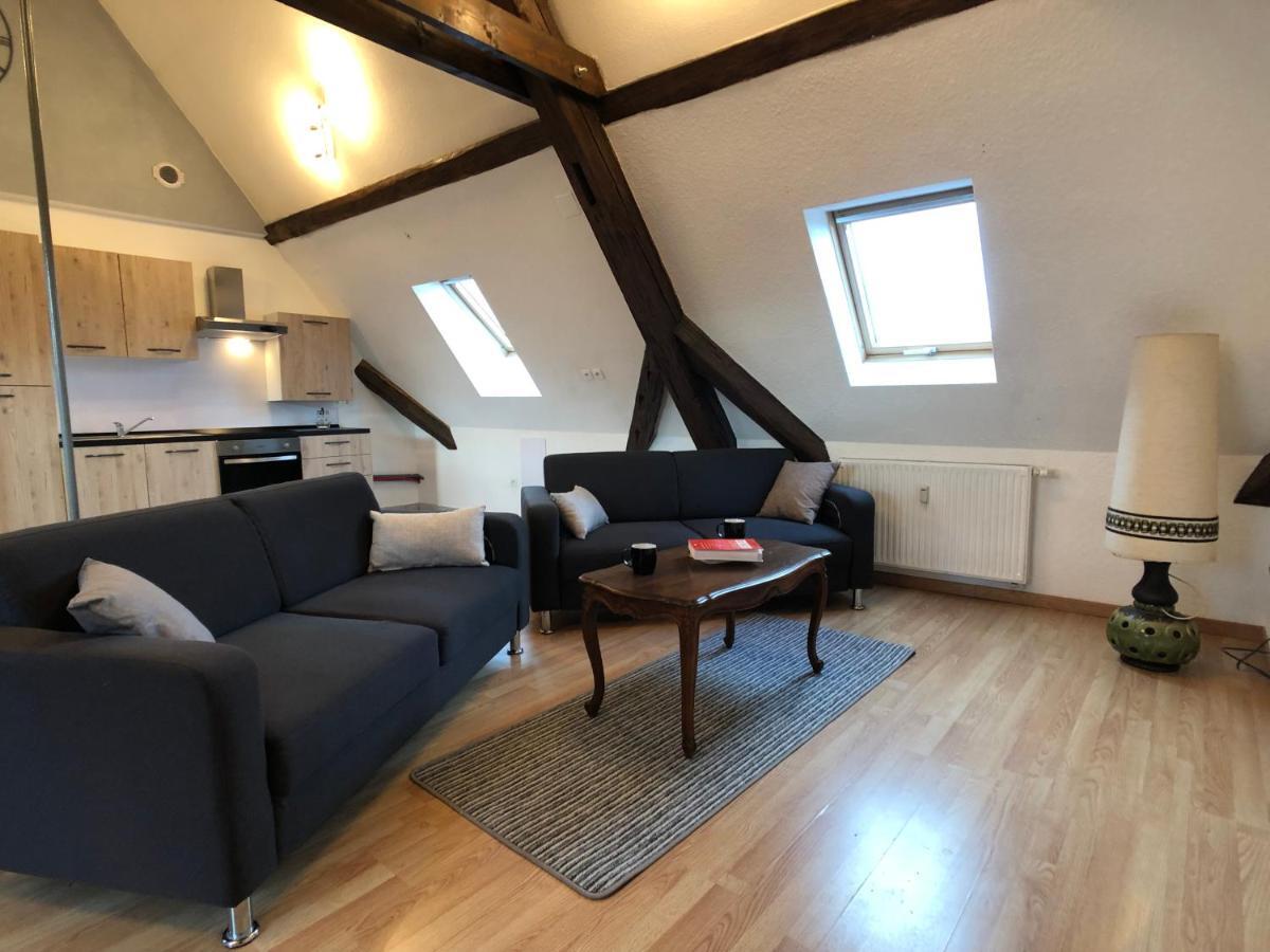 Apartment Le 6 - Le Chateau Du Haut-koenigsbourg Selestat